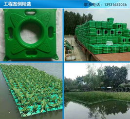 江苏人工生态浮岛与廊坊聚格塑料制品厂户外地板应用图解