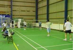 供应室内外网球场地板地垫 专业研发生产厂家的全方位指南