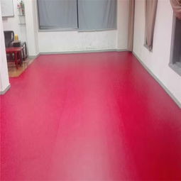 乒乓球塑胶地板与PVC地板的全面解析 厂家、价格、图片及护栏指南